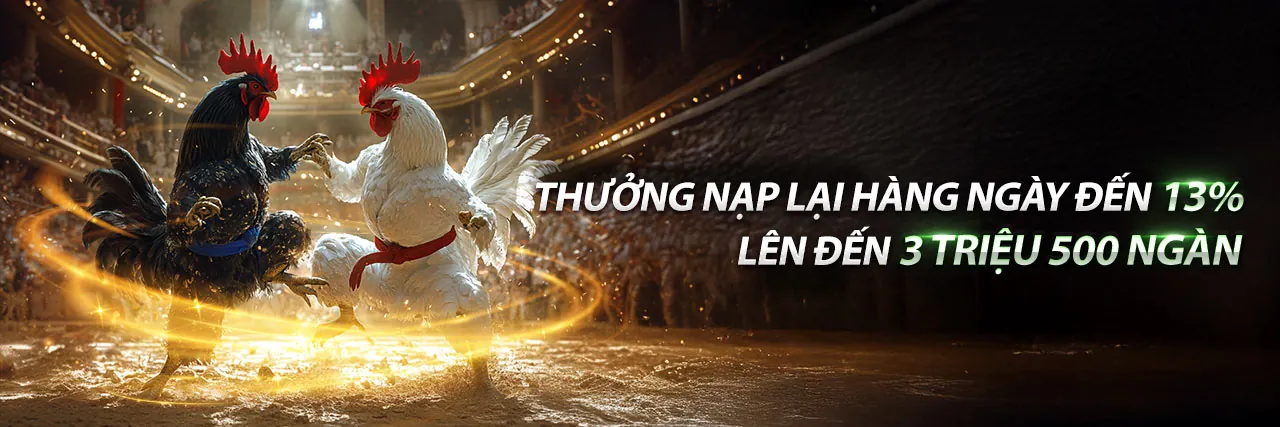 Banner kêu gọi hành động đăng ký