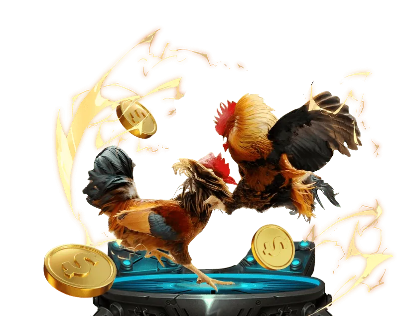 Hình ảnh casino trực tiếp và cá cược thể thao